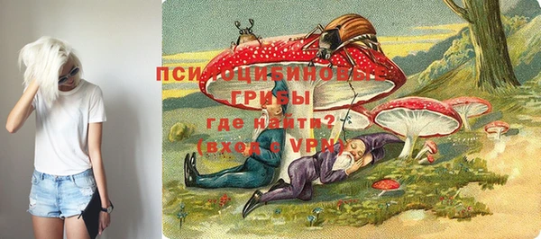 круглые Алексеевка