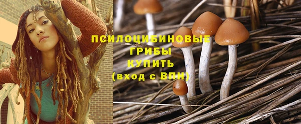 круглые Алексеевка