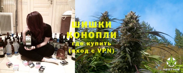 крисы Алексин