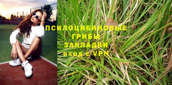 крисы Алексин