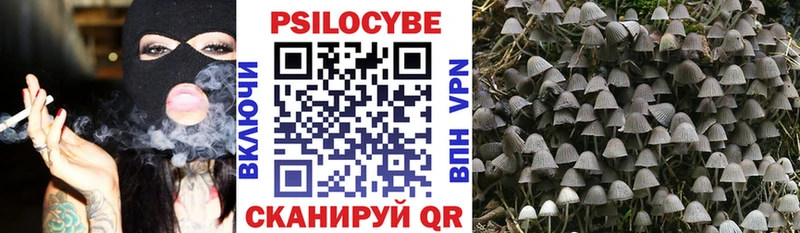 mega рабочий сайт  Карабулак  Псилоцибиновые грибы мицелий 