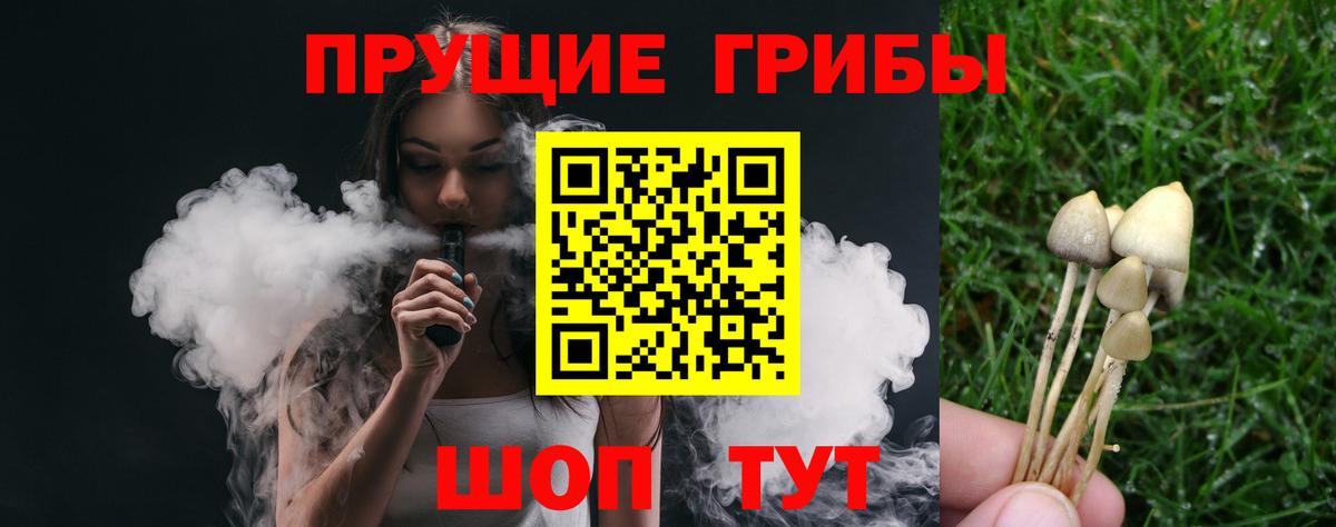 Карабулак  Псилоцибиновые грибы ЛСД  Вход с VPN  Галлюциногенные грибы прущие грибы 